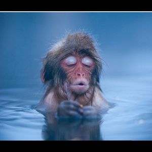 Meet your Posher, Karime